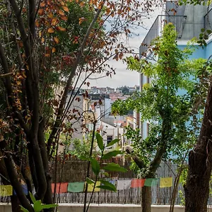 Pensjonat Lost :: Avenida House